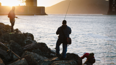 Técnicas modernas de pescaria trazem inovação e precisão às águas brasileiras, analisa Joel Alves.